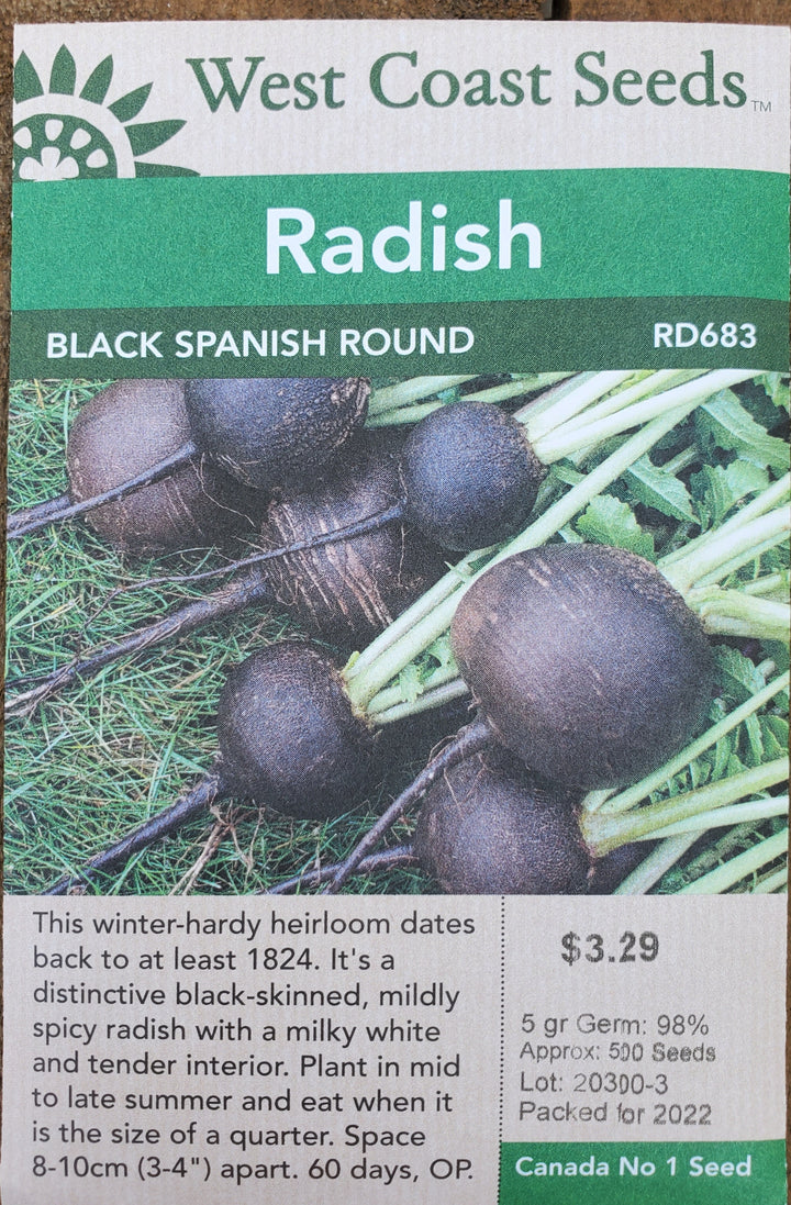 Radish Seeds - Black Spanish Round