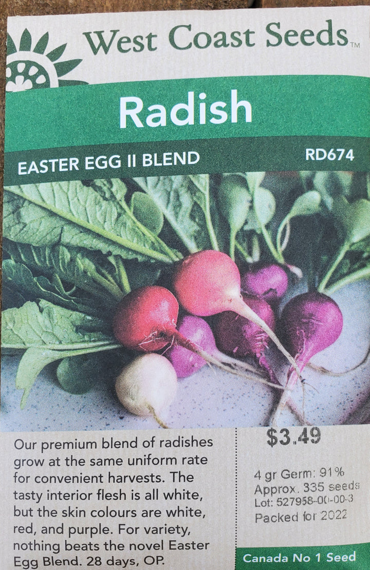 Radish Seeds - Easter Egg II Blend