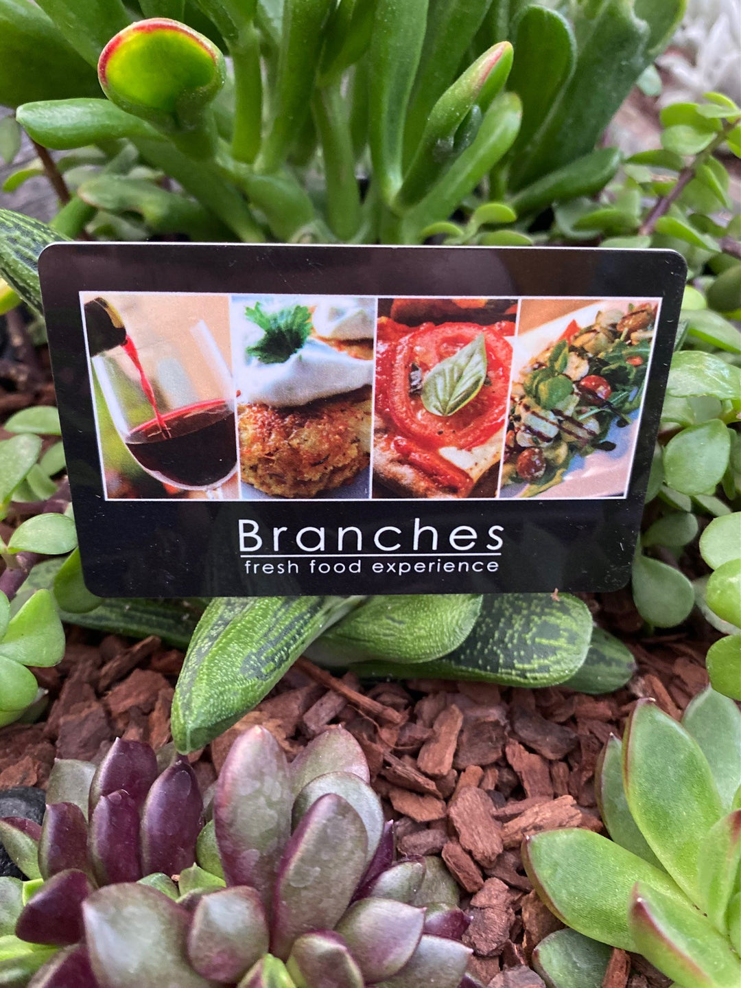 Branches Restaurant Gift Card