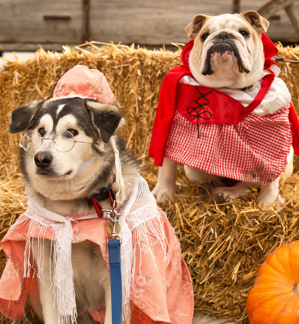 Howl-ween Pooch Parade Registration - Oct. 27 @ 2-4pm