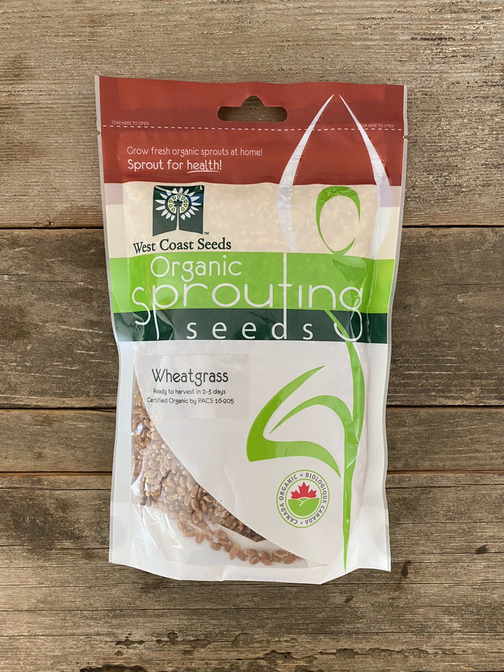 Organic Sprouting Seeds - Wheatgrass