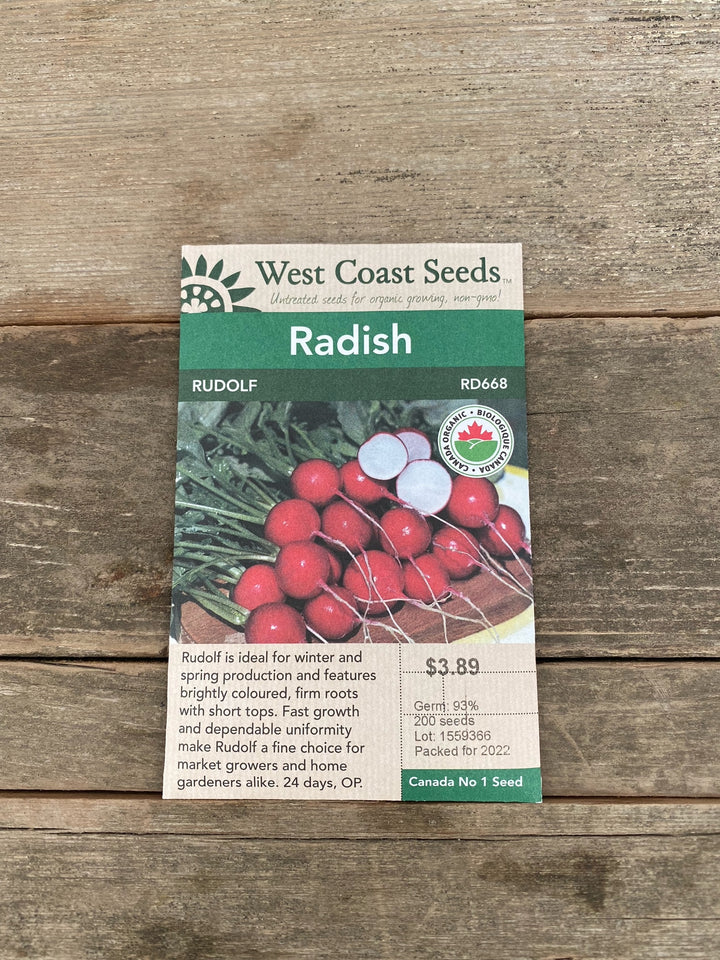 Radish Seeds - Rudolf