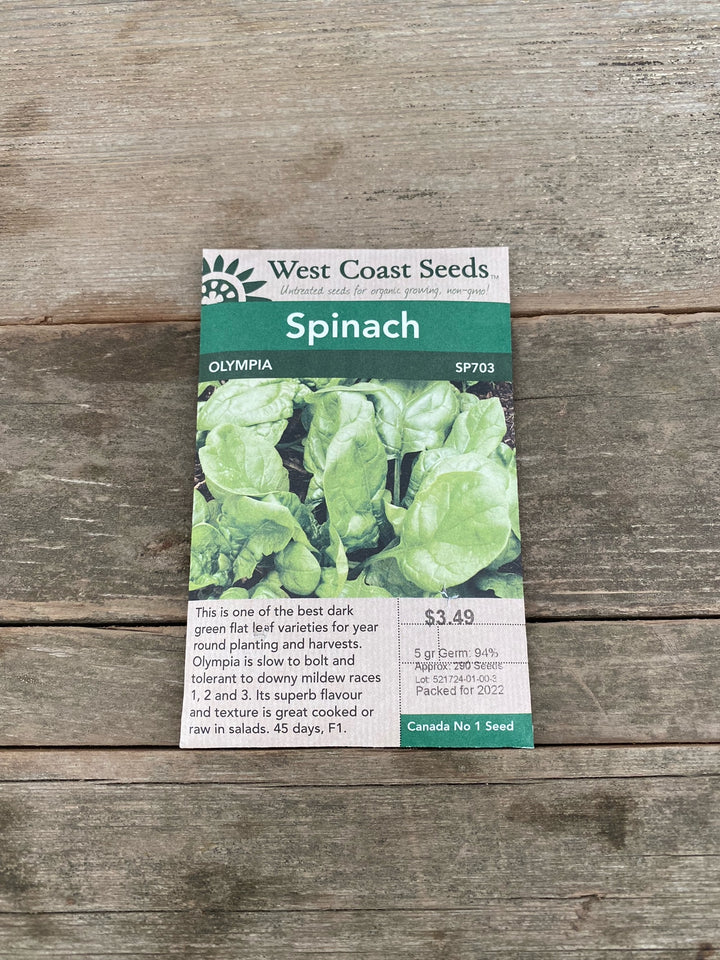 Spinach Seeds - Olympia