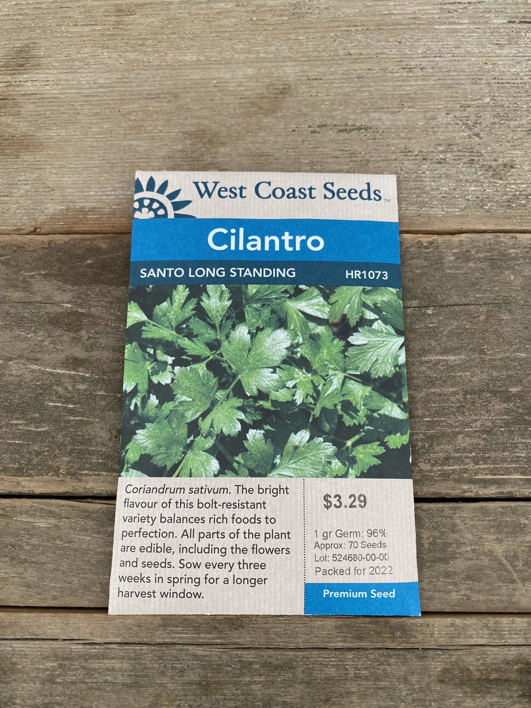 Cilantro Seeds - Santo Long Standing