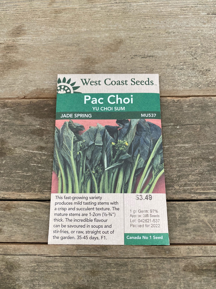 Pac Choi Seeds - Jade Spring