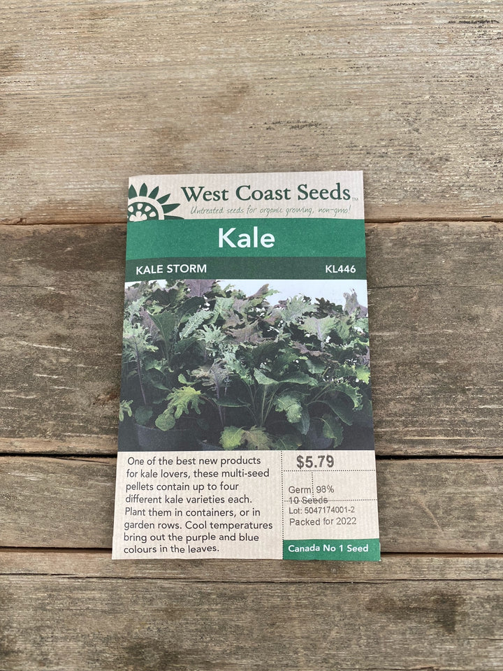 Kale Seeds - Kale Storm