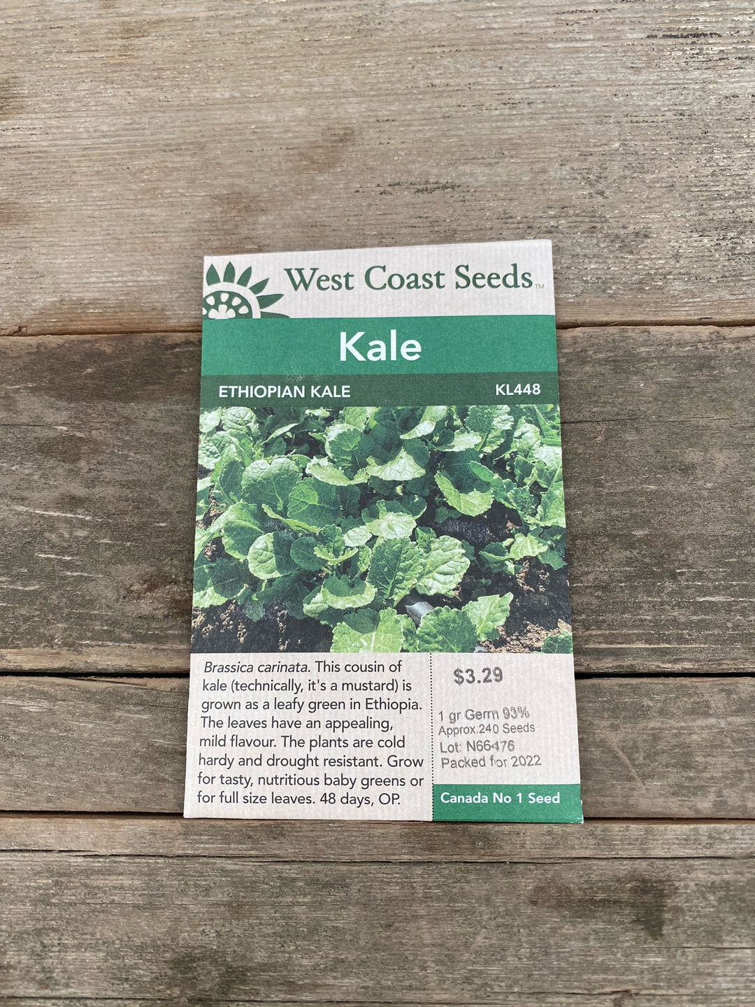 Kale Seeds - Ethiopian Kale