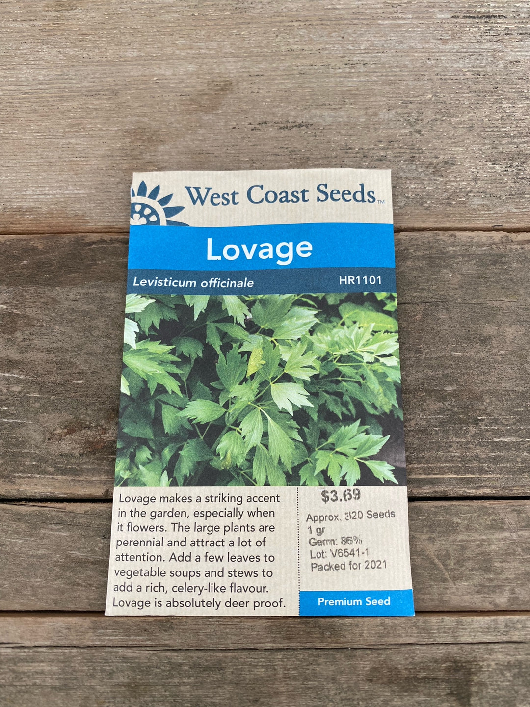 Lovage Seeds - Levisticum officinale