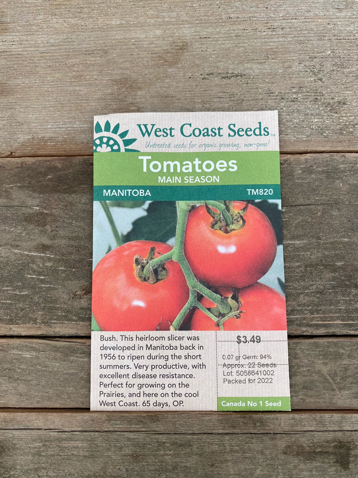 Tomato Seeds - Manitoba
