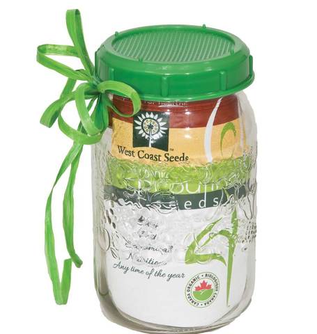 Sprouting Jar with Seeds